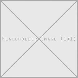 Placeholder 1x1